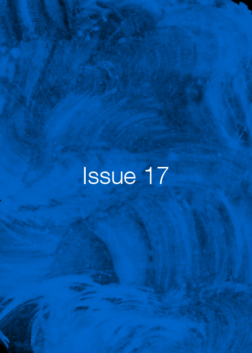 Issue 17